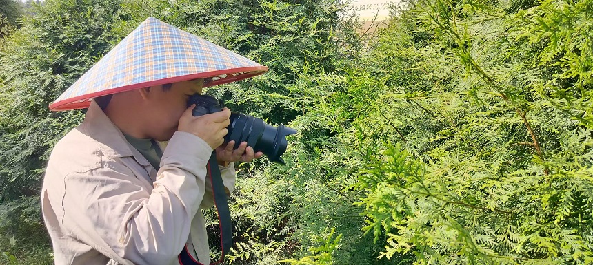 崖柏正“青春”AG真人古老(图6)